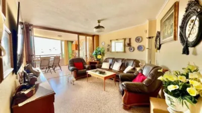 Pis – Torrevieja - Vista 2