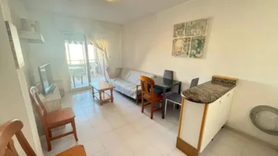 Pis – Torrevieja - Vista 5