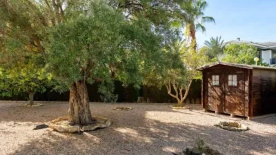 Casa – Orihuela - Vista 2