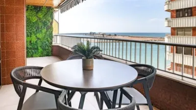 Pis – Torrevieja, San Roque - Vista 3