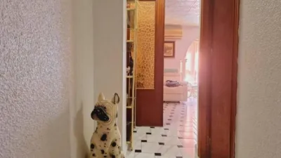Apartment in Acequión-Los Naúfragos photo 26