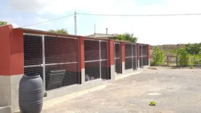 Casa rústica en Almoradí photo 12