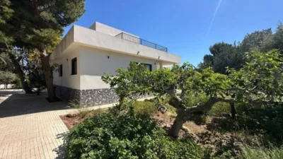 Villa in Los Girasoles photo 14