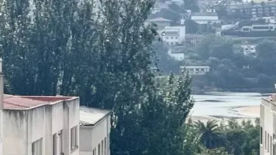 Apartment in Perillo photo 31