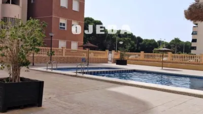 Penthouse in Guardamar del Segura photo 6