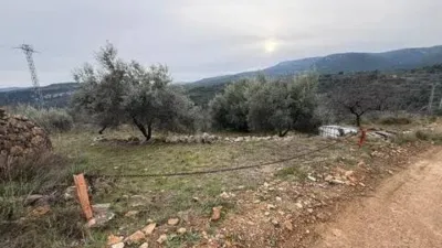 Rustic property in Atzeneta del Maestrat photo 39