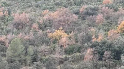 Rustic property in Atzeneta del Maestrat photo 42