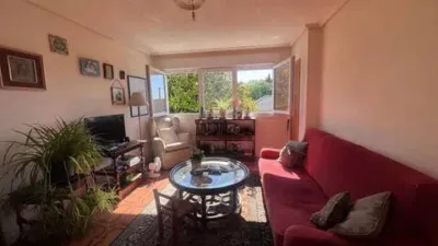 Piso – Perillo, Santa Cristina - Vista 2