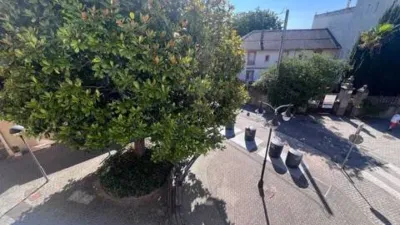 Piso – Perillo, Santa Cristina - Vista 5