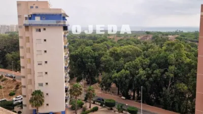 Penthouse in Guardamar del Segura photo 9
