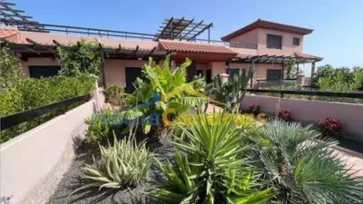 Townhouse at Calle Oasis 12 S-N photo 3