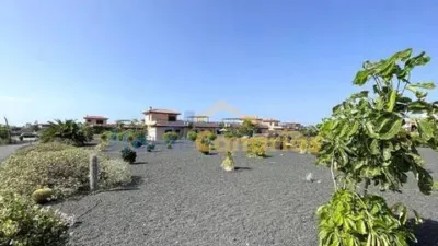 Townhouse at Calle Oasis 12 S-N photo 25