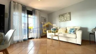 Townhouse at Calle Oasis 12 S-N photo 7