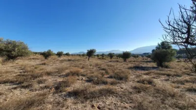 Terreno en venta en Villena - Vista 2