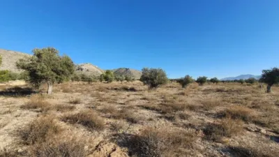 Terreno en venta en Villena - Vista 3