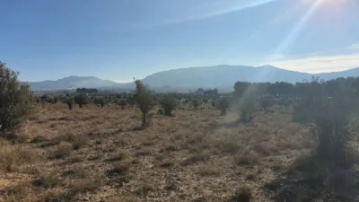 Terreno en venta en Villena - Vista 4
