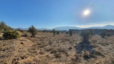 Terreno en venta en Villena - Vista 5
