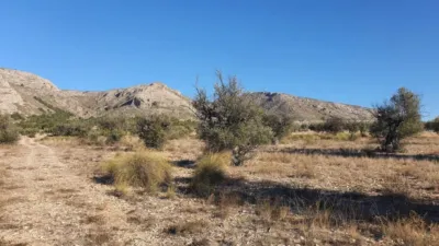 Terreno en venta en Villena - Más