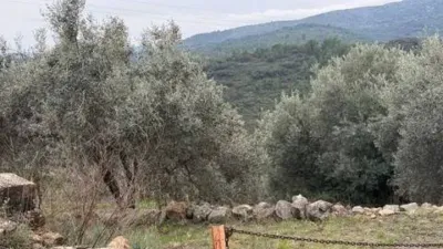 Rustic property in Atzeneta del Maestrat photo 41