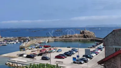 Casa – Palmeira, O Bacelo, Branca - Vista 4