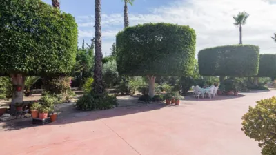 Casa – Elx - Elche - Vista 3