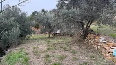 Rustic property in Atzeneta del Maestrat photo 30