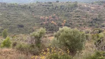 Rustic property in Atzeneta del Maestrat photo 34