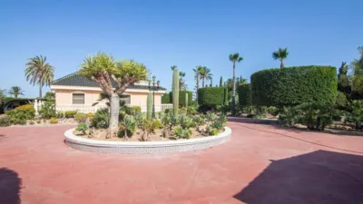 Casa – Elx - Elche - Més