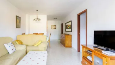 Apartment in Algarrobo photo 3