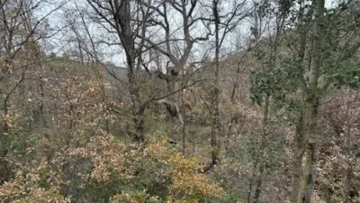 Rustic property in Atzeneta del Maestrat photo 45