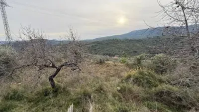 Rustic property in Atzeneta del Maestrat photo 32