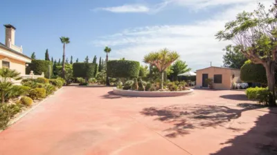 Casa – Elx - Elche - Vista 4