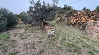 Rustic property in Atzeneta del Maestrat photo 29