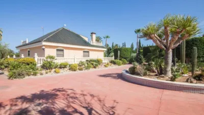Casa – Elx - Elche - Vista 5