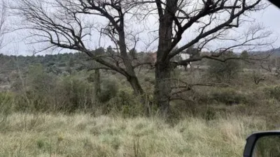 Rustic property in Atzeneta del Maestrat photo 43