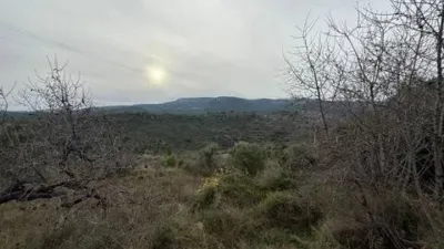 Rustic property in Atzeneta del Maestrat photo 33
