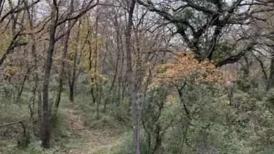 Rustic property in Atzeneta del Maestrat photo 50