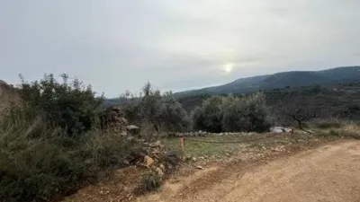 Rustic property in Atzeneta del Maestrat photo 40