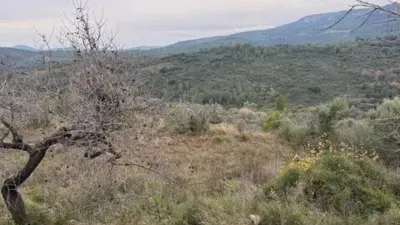 Rustic property in Atzeneta del Maestrat photo 31
