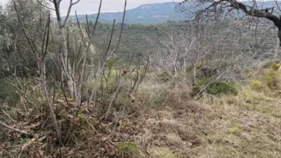 Rustic property in Atzeneta del Maestrat photo 37