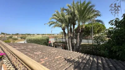 Rustic house in Torrellano-Valverde-Parc Empresarial photo 11