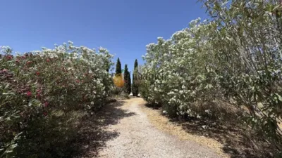  photo 43