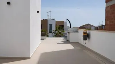 Chalet in Algorfa photo 7