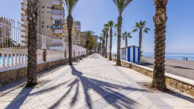 Apartment in Algarrobo photo 20