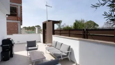 Chalet in Algorfa photo 6