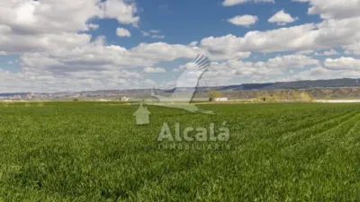 Flat in Alovera photo 79