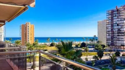 Pis – Alacant / Alicante, l'Alacantí - Vista 2