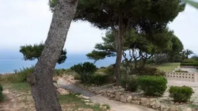 Terraced house in Gran Alacant photo 38