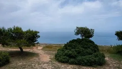 Terraced house in Gran Alacant photo 37