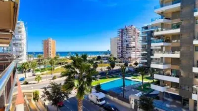 Pis – Alacant / Alicante, l'Alacantí - Més